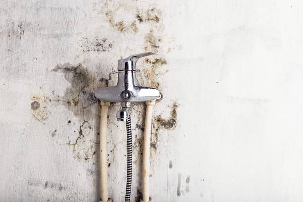 Best Mold Remediation for Schools in Gurnee, IL