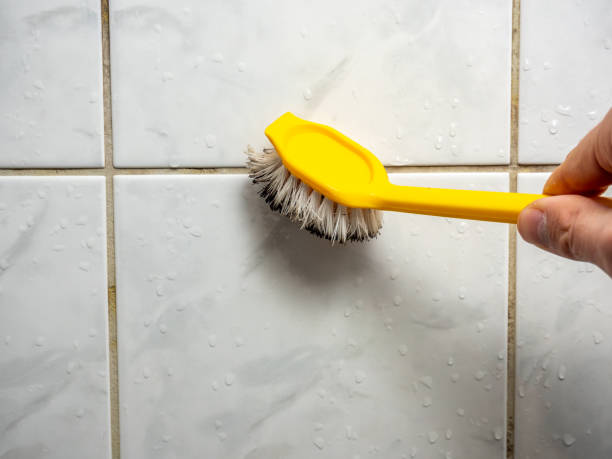 Best Mold Testing and Inspection Services in Gurnee, IL