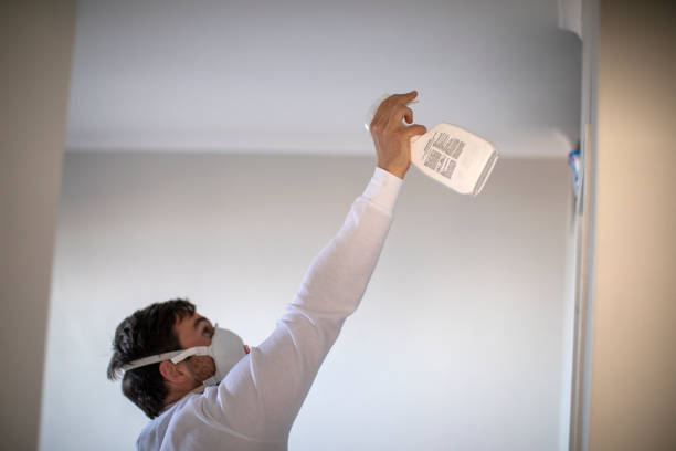 Best Commercial Mold Remediation in Gurnee, IL